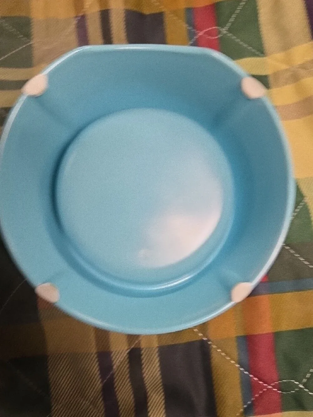 Ecoware Light Blue Raised Pet Bowl 8 Oz